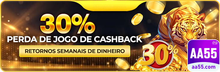 aa55.com Performance e Velocidade